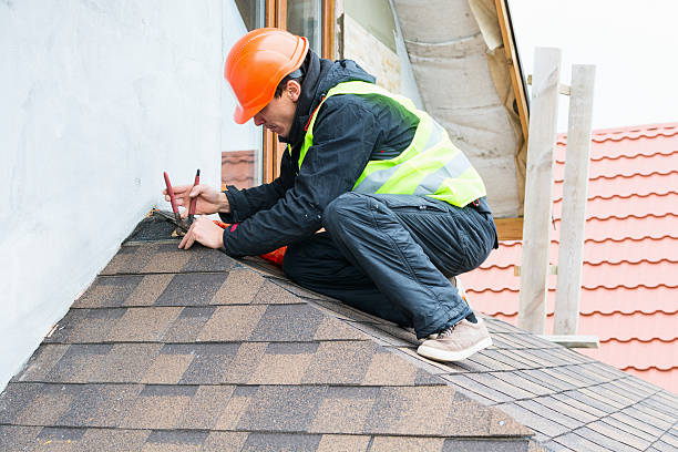 Best Storm Damage Roof Repair  in Bertville, AL