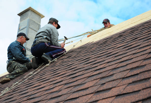 Best Metal Roofing Contractor  in Bertville, AL