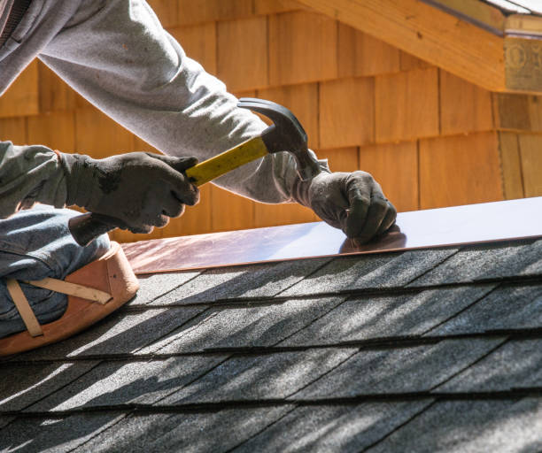 Best Roof Gutter Cleaning  in Bertville, AL
